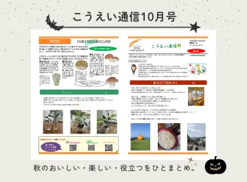 こうえい通信10月号を発行しました🍄秋の暮らしに役立つ情報をお届け